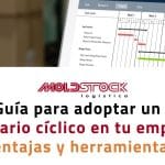 Guía para adoptar un inventario cíclico en tu empresa: ventajas y herramientas