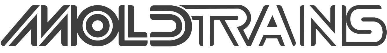 LOGOTIPO MOLDTRANS Gris